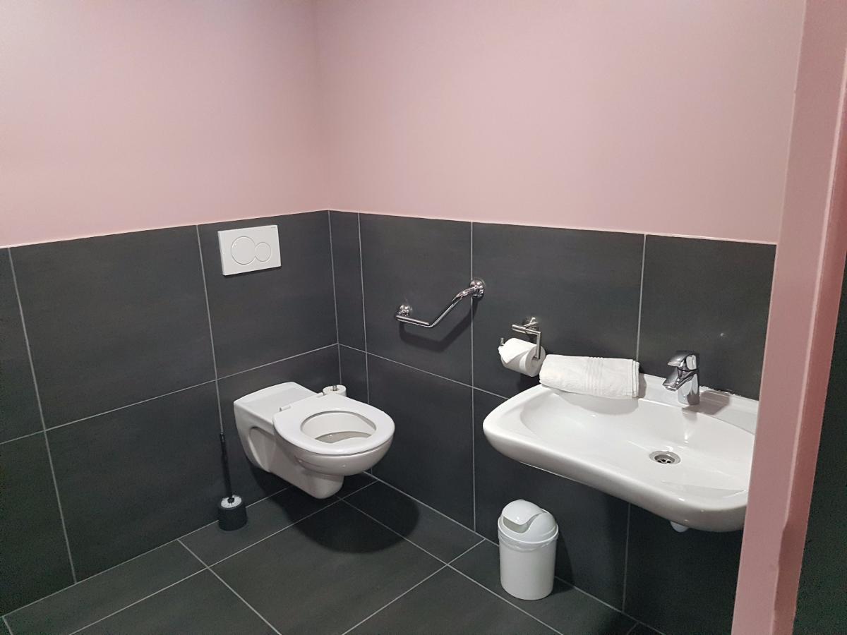 Mise aux normes toilettes handicapées